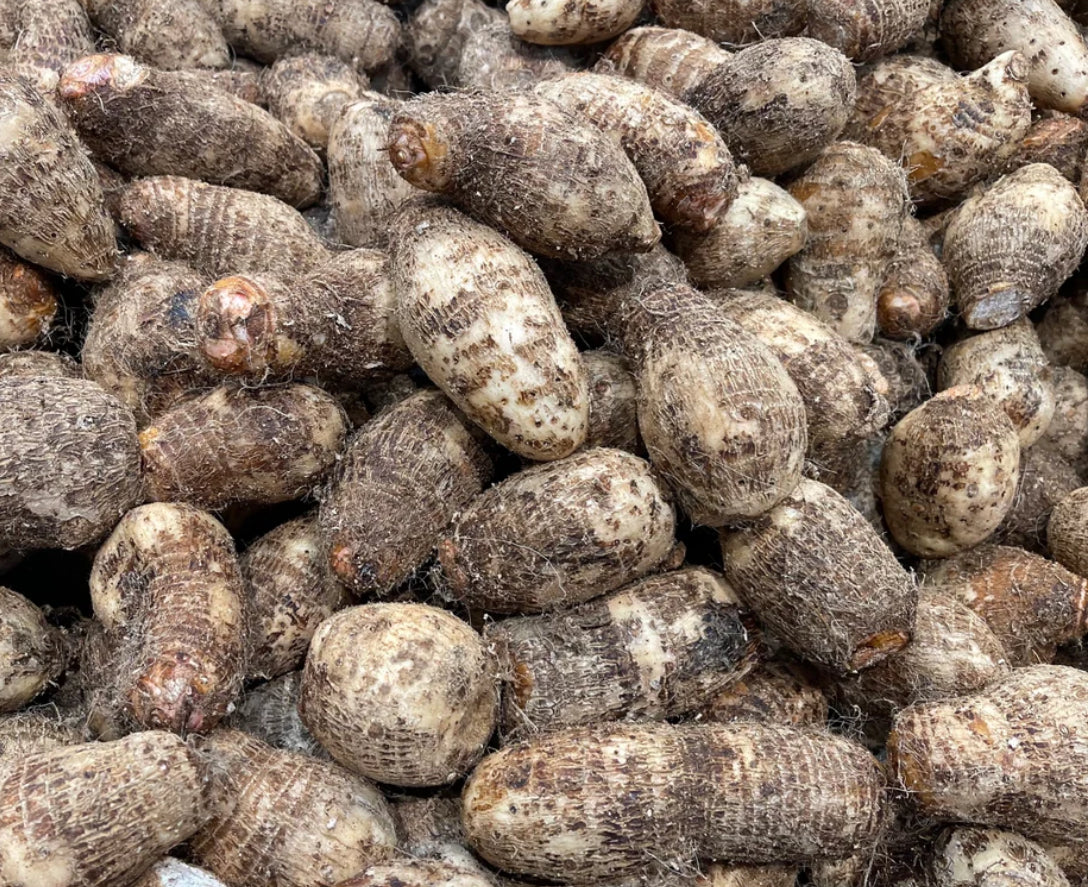 Yautía — 1kg