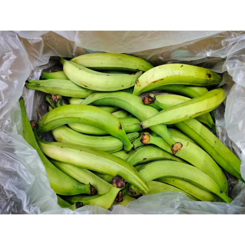 Plátano Macho — 1kg