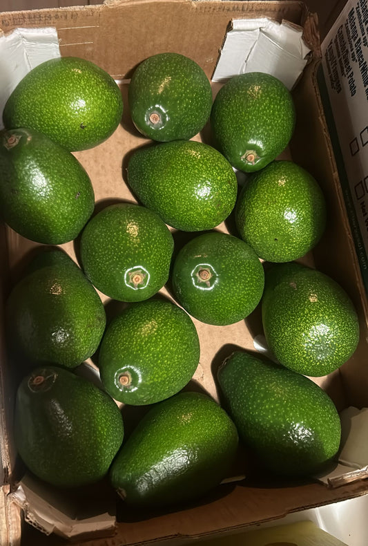 Avocado