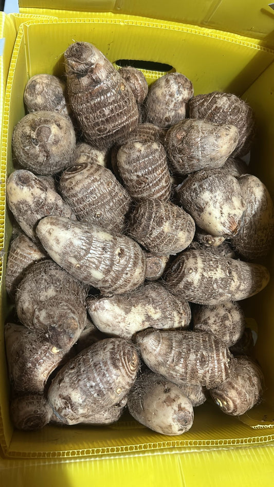 Yautía — 1kg