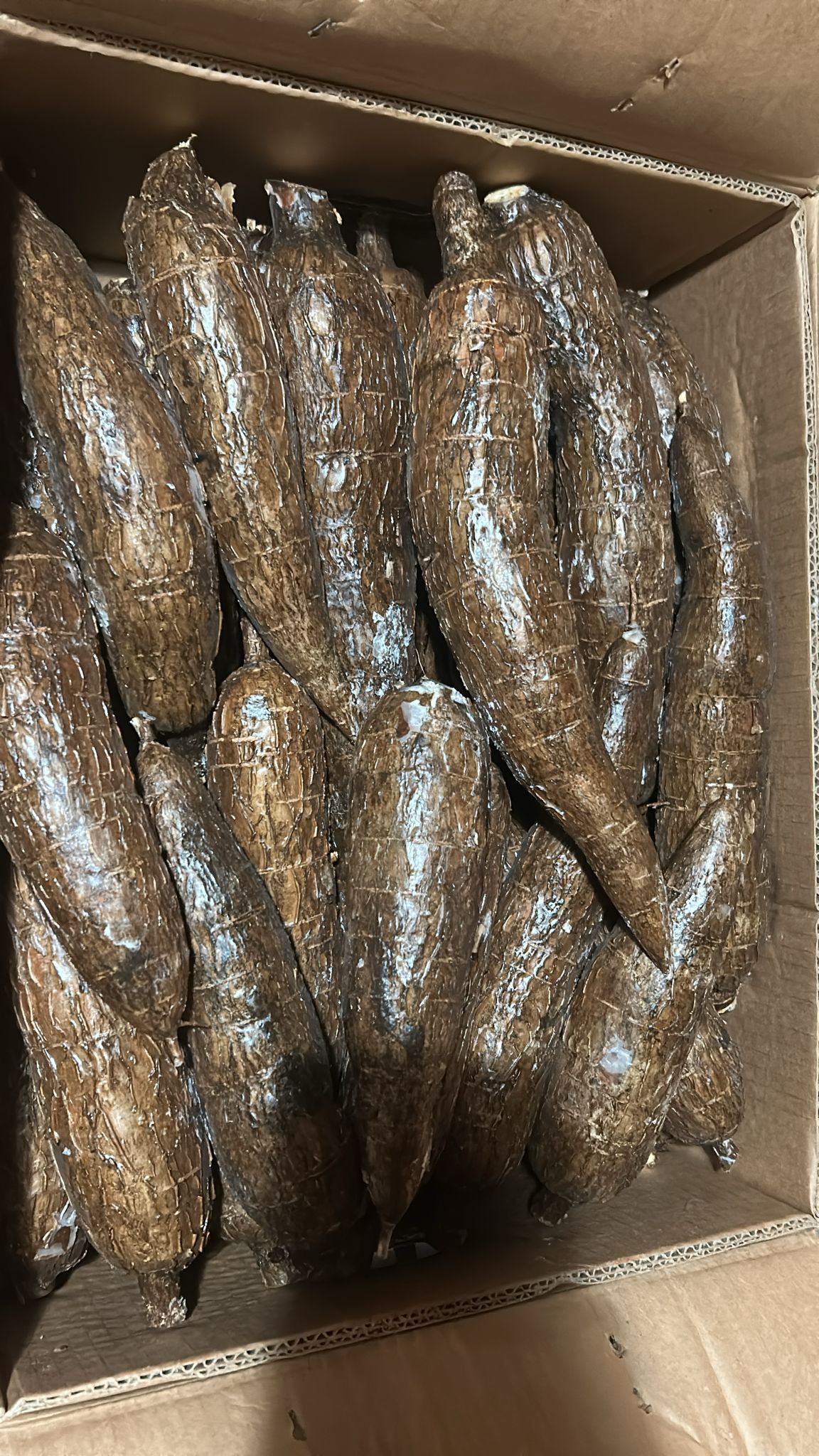Yuca Fresca — 1kg